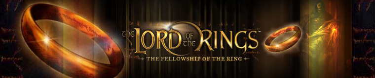 Lord of the Rings: The Fellowship of the Ring banner.